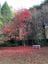 Breeholds Gardens - Mount Wilson Image -645068c4b1cef